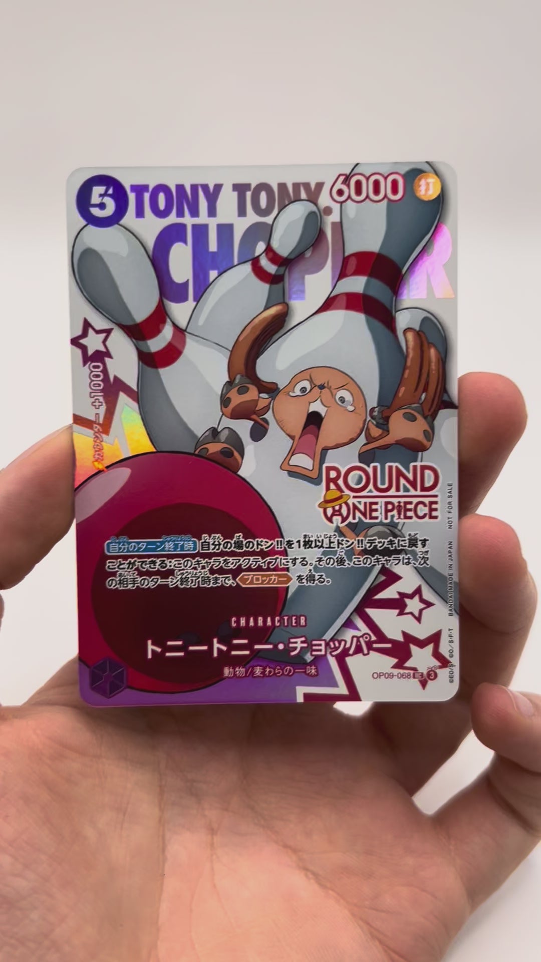 chopper round one piece mugiwara pièce 